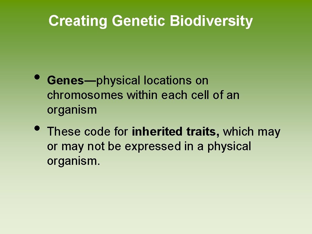Creating Genetic Biodiversity • • Genes―physical locations on chromosomes within each cell of an
