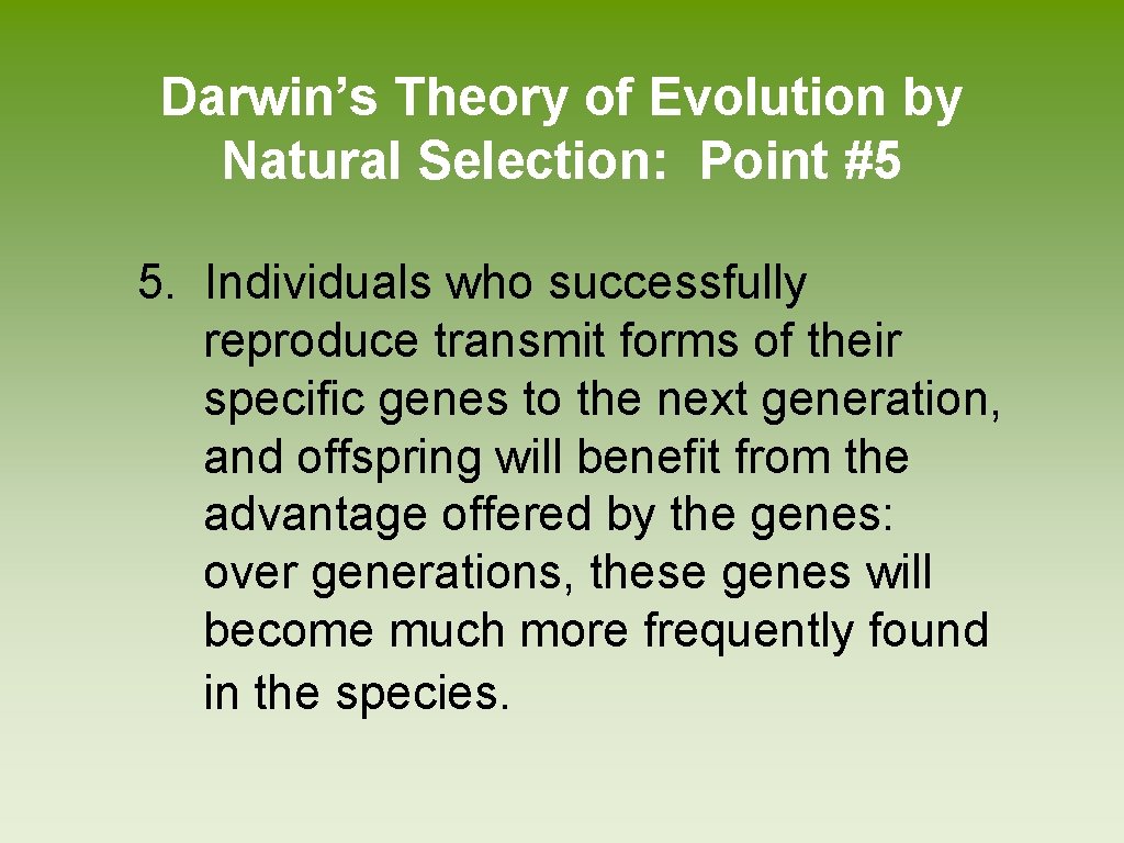 Darwin’s Theory of Evolution by Natural Selection: Point #5 5. Individuals who successfully reproduce