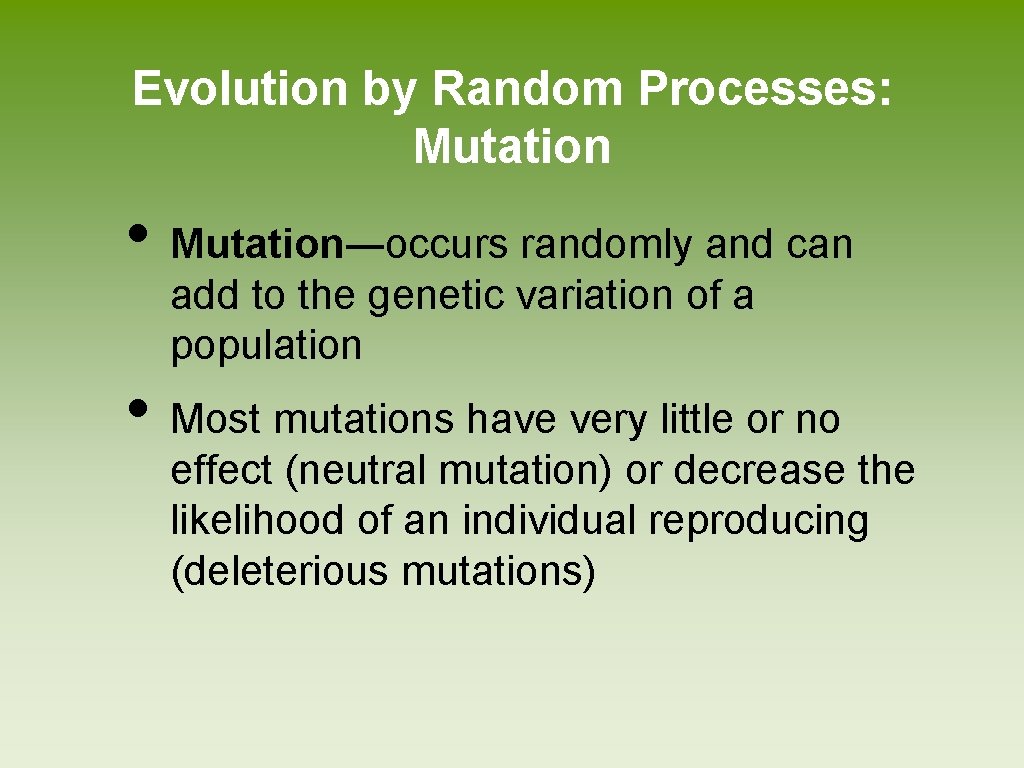 Evolution by Random Processes: Mutation • Mutation―occurs randomly and can add to the genetic