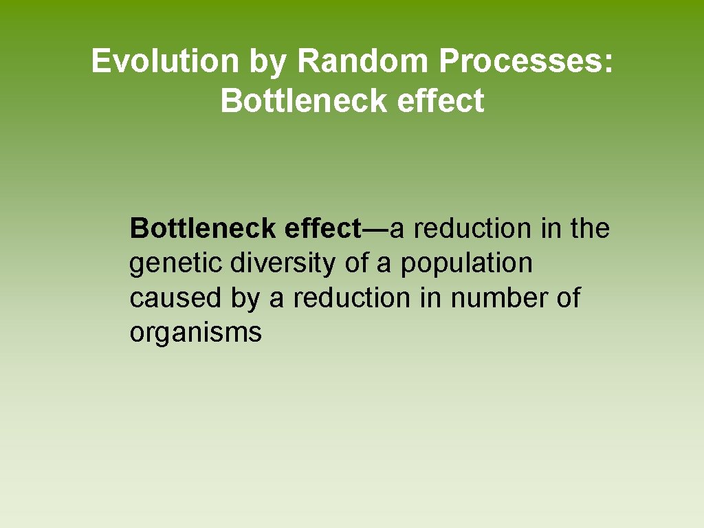 Evolution by Random Processes: Bottleneck effect―a reduction in the genetic diversity of a population