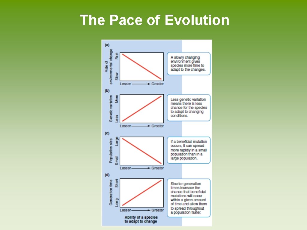 The Pace of Evolution 