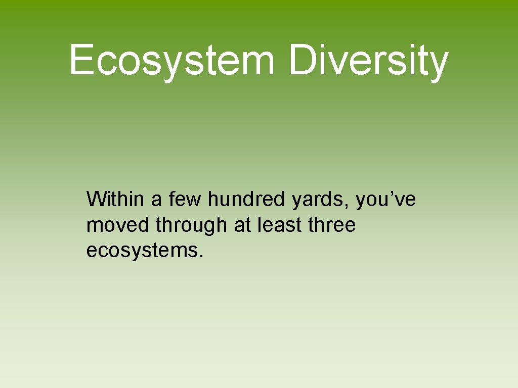 Ecosystem Diversity Within a few hundred yards, you’ve moved through at least three ecosystems.