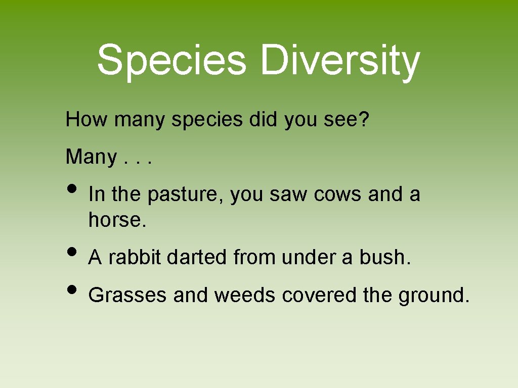 Species Diversity How many species did you see? Many. . . • In the
