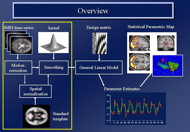 Overview f. MRI time-series kernel Design matrix Motion correction Smoothing General Linear Model Spatial