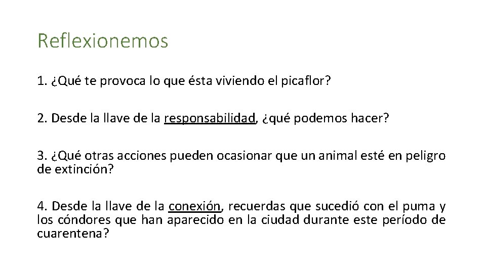 Reflexionemos 1. ¿Qué te provoca lo que ésta viviendo el picaflor? 2. Desde la