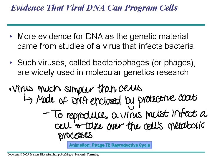 Evidence That Viral DNA Can Program Cells • More evidence for DNA as the