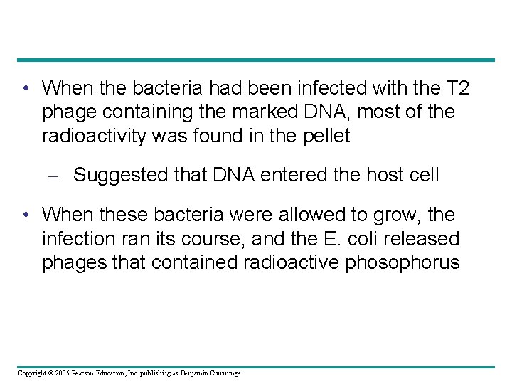  • When the bacteria had been infected with the T 2 phage containing