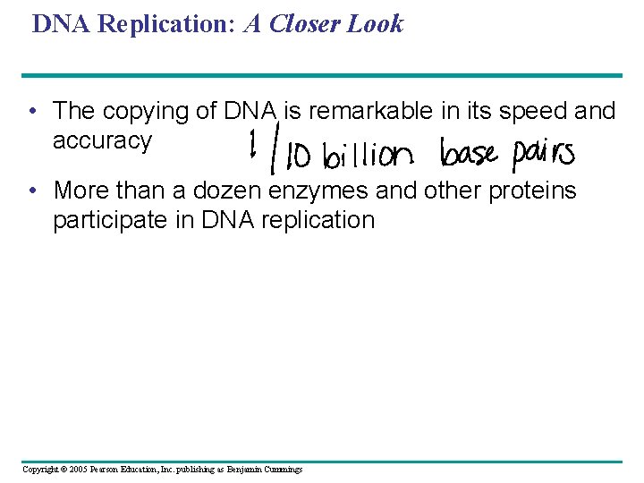 DNA Replication: A Closer Look • The copying of DNA is remarkable in its