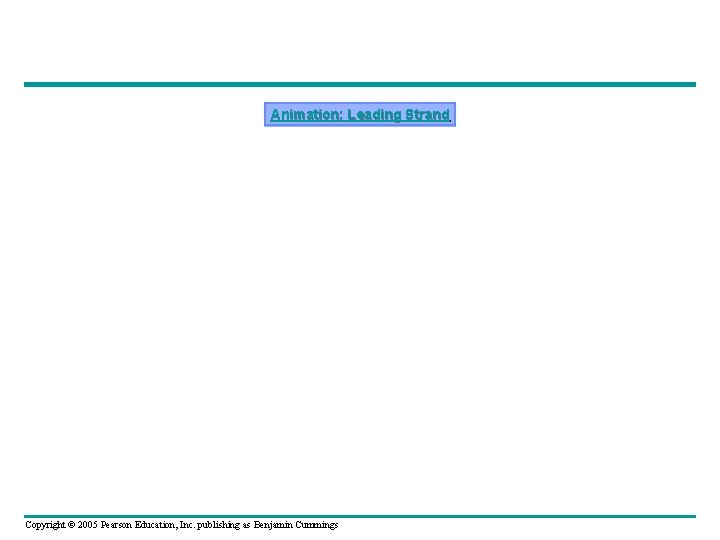 Animation: Leading Strand Copyright © 2005 Pearson Education, Inc. publishing as Benjamin Cummings 