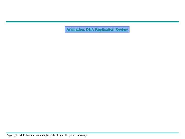 Animation: DNA Replication Review Copyright © 2005 Pearson Education, Inc. publishing as Benjamin Cummings