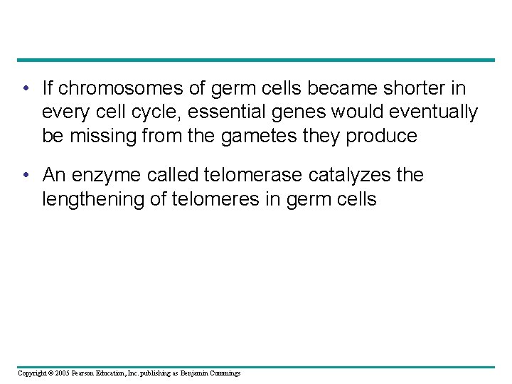  • If chromosomes of germ cells became shorter in every cell cycle, essential