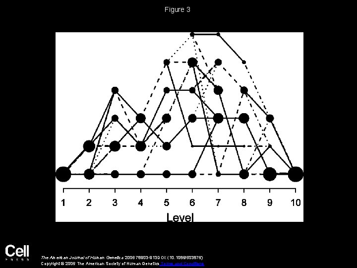 Figure 3 The American Journal of Human Genetics 2006 78903 -913 DOI: (10. 1086/503876)