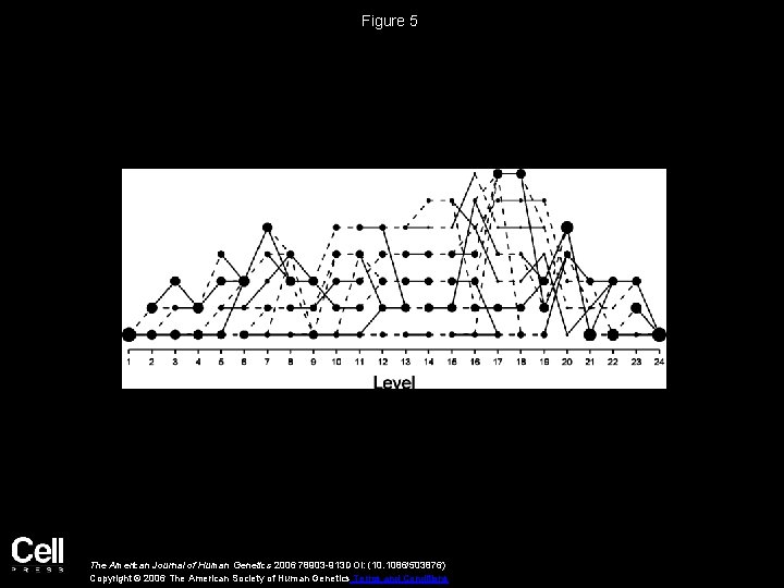 Figure 5 The American Journal of Human Genetics 2006 78903 -913 DOI: (10. 1086/503876)