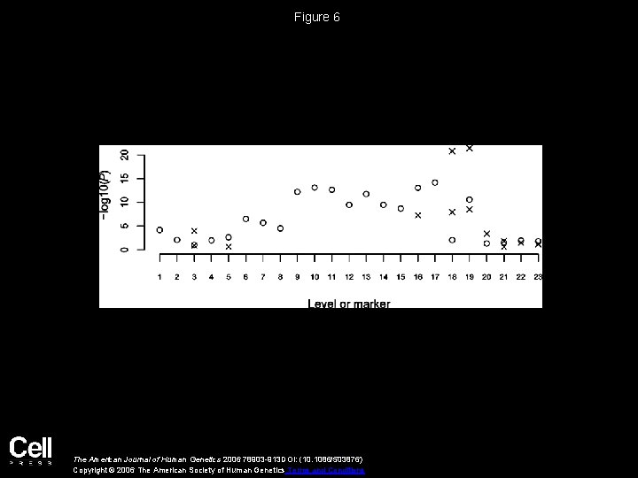 Figure 6 The American Journal of Human Genetics 2006 78903 -913 DOI: (10. 1086/503876)