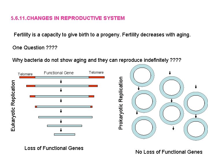 5. 6. 11. CHANGES IN REPRODUCTIVE SYSTEM Fertility is a capacity to give birth