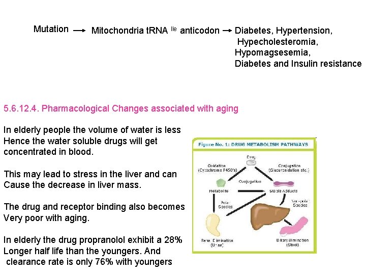 Mutation Mitochondria t. RNA lle anticodon Diabetes, Hypertension, Hypecholesteromia, Hypomagsesemia, Diabetes and Insulin resistance