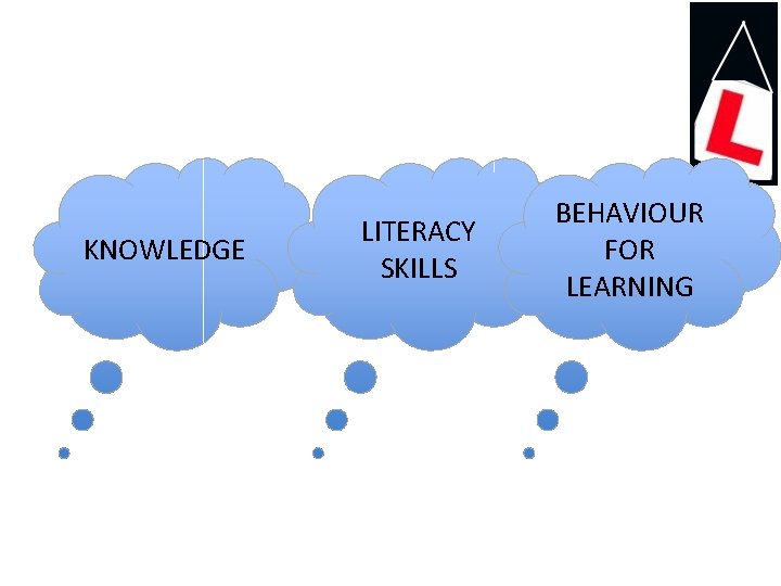 KNOWLEDGE LITERACY SKILLS BEHAVIOUR FOR LEARNING 