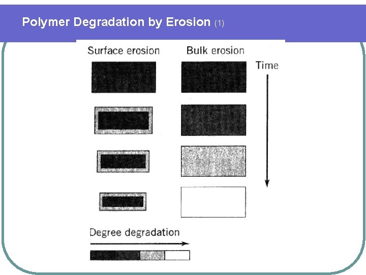 Polymer Degradation by Erosion (1) 