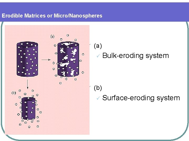 Erodible Matrices or Micro/Nanospheres ü (a) ü ü Bulk-eroding system (b) ü Surface-eroding system