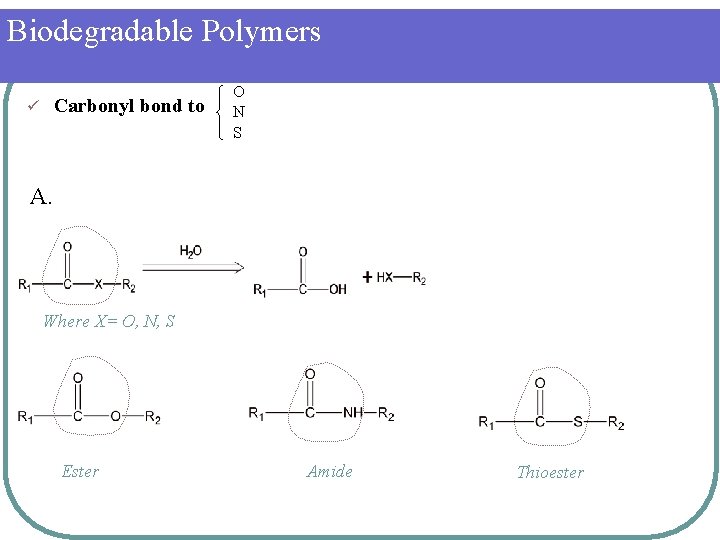 Biodegradable Polymers Carbonyl bond to ü O N S A. Where X= O, N,