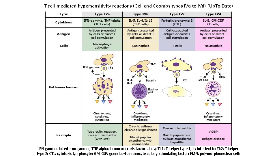 T cell-mediated hypersensitivity reactions (Gell and Coombs types IVa to IVd) (Up. To Date)