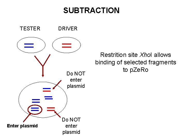 SUBTRACTION TESTER DRIVER Do NOT enter plasmid Enter plasmid Do NOT enter plasmid Restrition