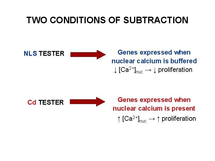 TWO CONDITIONS OF SUBTRACTION NLS TESTER Genes expressed when nuclear calcium is buffered ↓