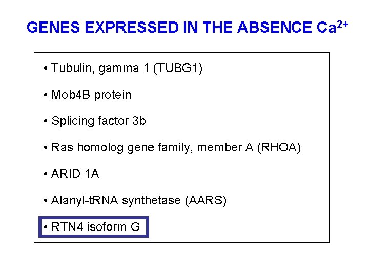 GENES EXPRESSED IN THE ABSENCE Ca 2+ • Tubulin, gamma 1 (TUBG 1) •