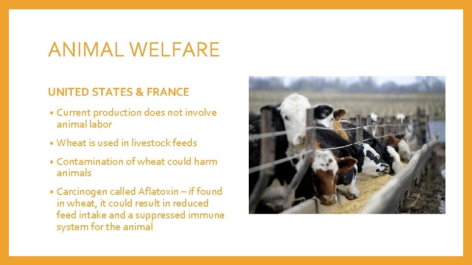 ANIMAL WELFARE UNITED STATES & FRANCE • Current production does not involve animal labor