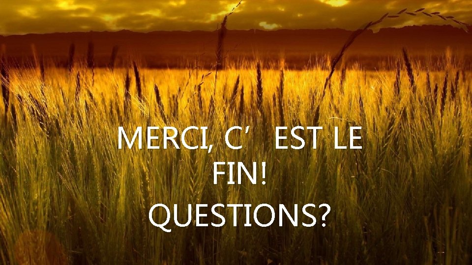 MERCI, C’EST LE FIN! QUESTIONS? 
