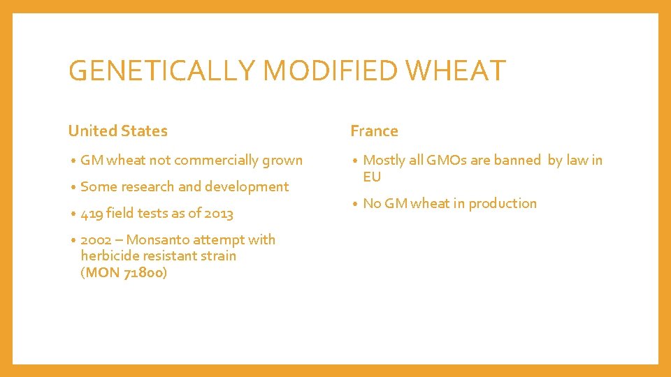 GENETICALLY MODIFIED WHEAT United States • GM wheat not commercially grown • Some research