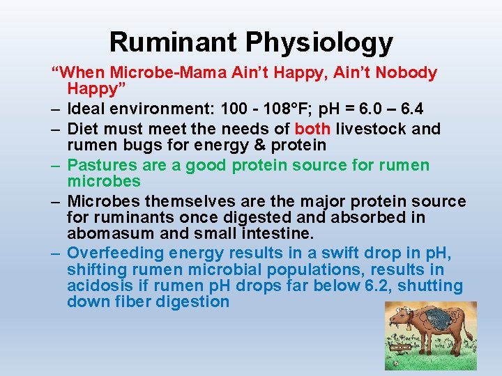 Ruminant Physiology “When Microbe-Mama Ain’t Happy, Ain’t Nobody Happy” – Ideal environment: 100 -