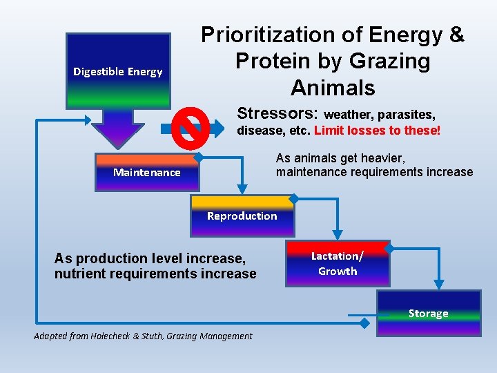 Digestible Energy Prioritization of Energy & Protein by Grazing Animals Stressors: weather, parasites, disease,