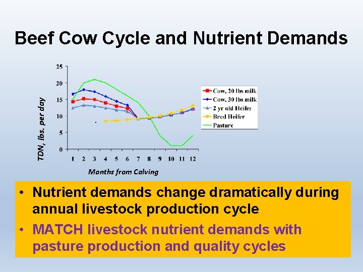 TDN, lbs. per day Beef Cow Cycle and Nutrient Demands . Months from Calving