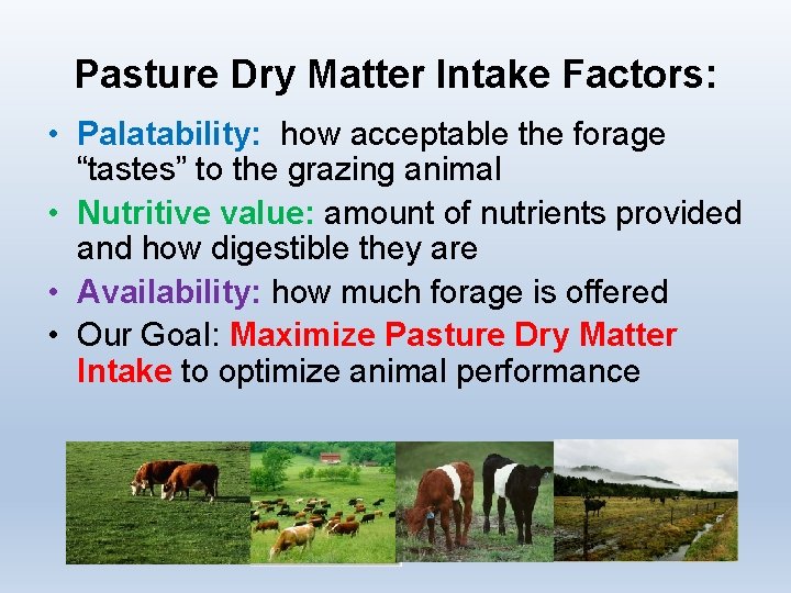 Pasture Dry Matter Intake Factors: • Palatability: how acceptable the forage “tastes” to the