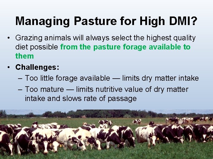 Managing Pasture for High DMI? • Grazing animals will always select the highest quality