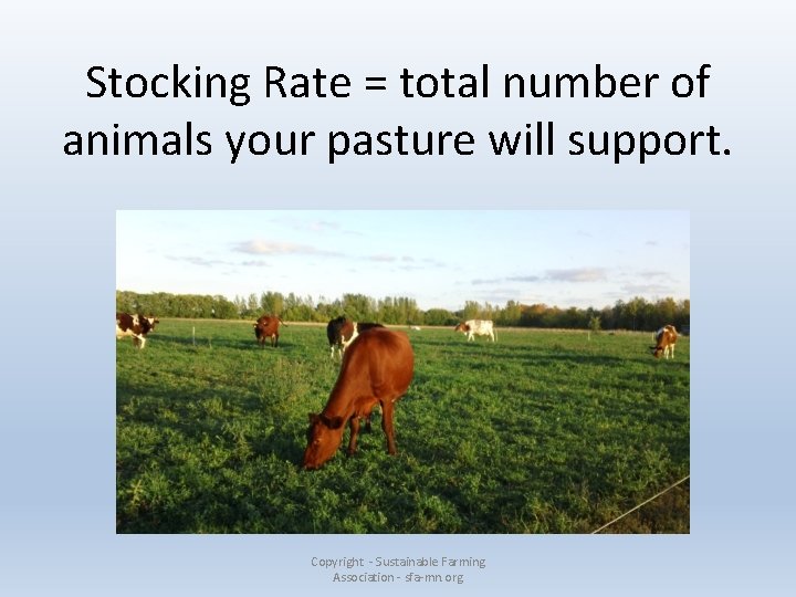 Stocking Rate = total number of animals your pasture will support. Copyright - Sustainable