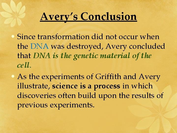 Avery’s Conclusion • Since transformation did not occur when the DNA was destroyed, Avery
