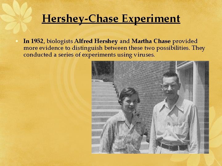 Hershey-Chase Experiment • In 1952, biologists Alfred Hershey and Martha Chase provided more evidence