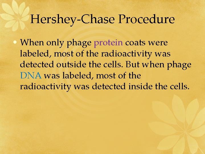 Hershey-Chase Procedure • When only phage protein coats were labeled, most of the radioactivity