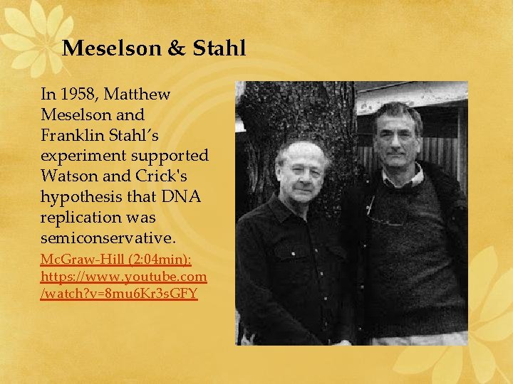 Meselson & Stahl In 1958, Matthew Meselson and Franklin Stahl’s experiment supported Watson and