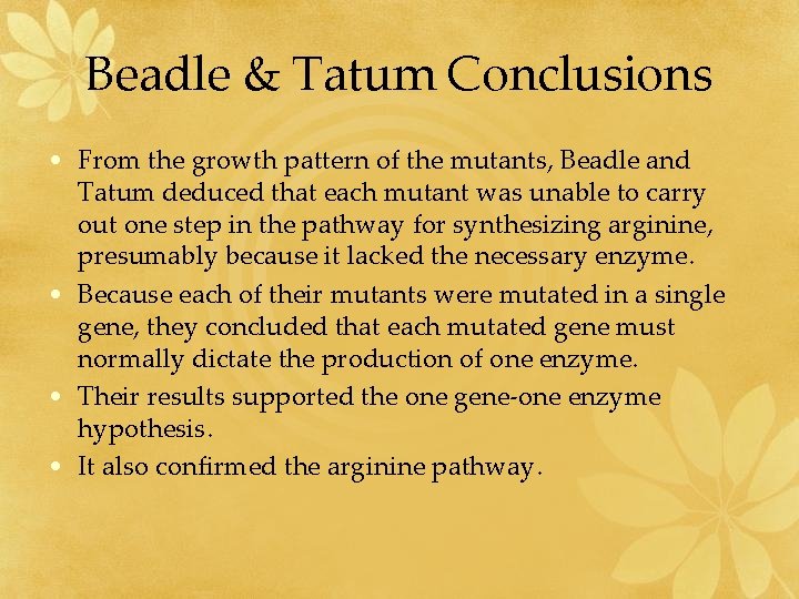 Beadle & Tatum Conclusions • From the growth pattern of the mutants, Beadle and