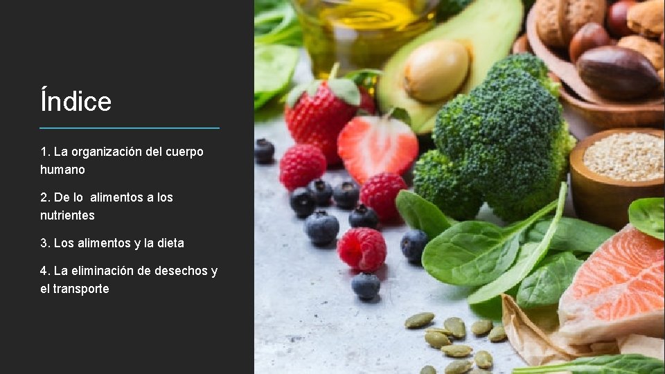 Índice 1. La organización del cuerpo humano 2. De lo alimentos a los nutrientes