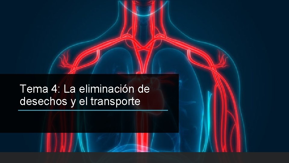 Tema 4: La eliminación de desechos y el transporte 