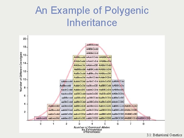 An Example of Polygenic Inheritance 3. 1: Behavioral Genetics 