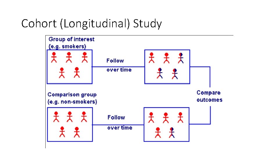 Cohort (Longitudinal) Study 