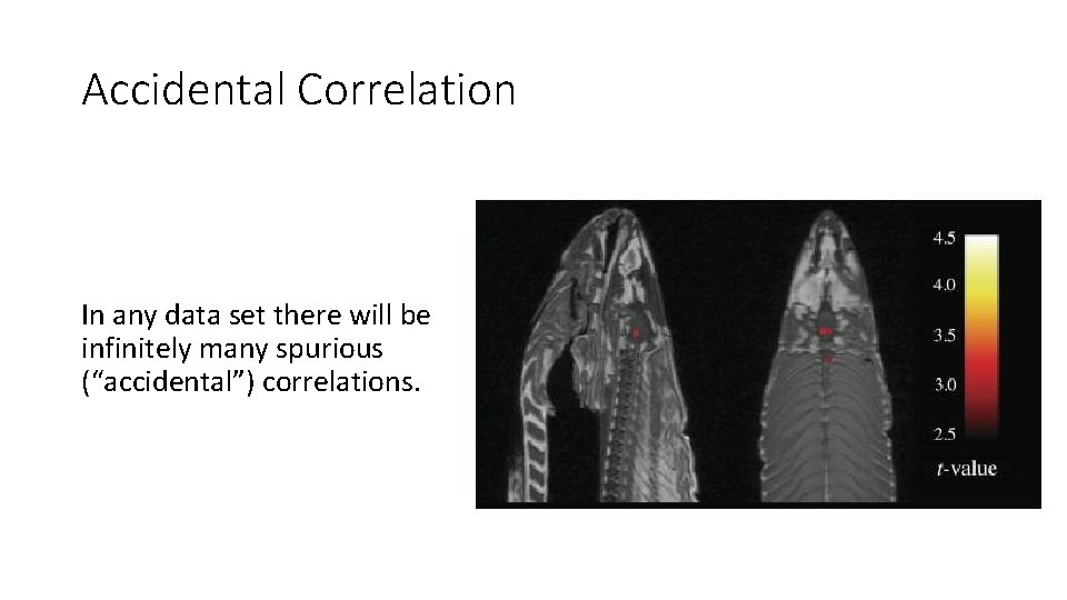 Accidental Correlation In any data set there will be infinitely many spurious (“accidental”) correlations.