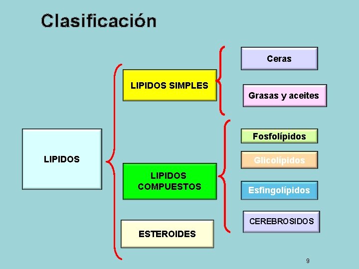 Clasificación Ceras LIPIDOS SIMPLES Grasas y aceites Fosfolípidos LIPIDOS Glicolípidos LIPIDOS COMPUESTOS Esfingolípidos CEREBROSIDOS