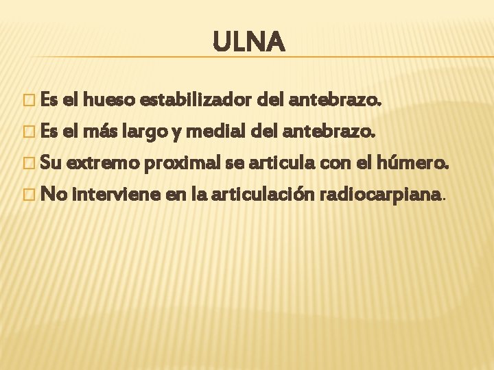 ULNA � Es el hueso estabilizador del antebrazo. � Es el más largo y