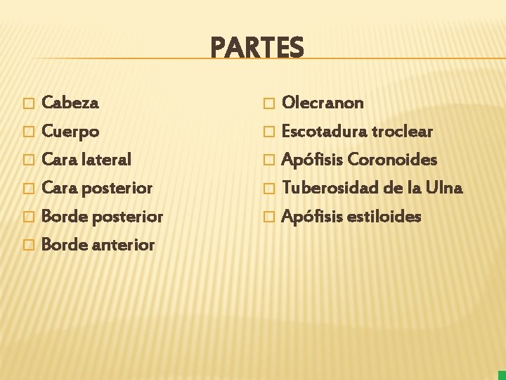 PARTES Cabeza � Cuerpo � Cara lateral � Cara posterior � Borde anterior �